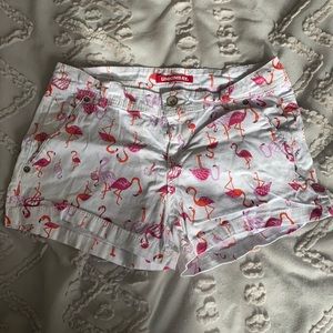 Flamingo shorts